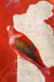 31_dreamstates2